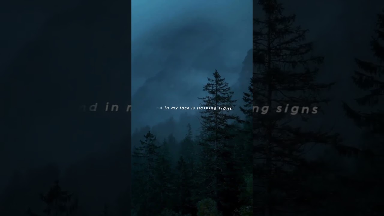 Counting Stars - OneRepublic (Lyrics)