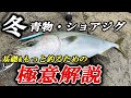 【釣果が大きく変わる】冬の青物・ショアジギング攻略の基礎・釣果UPのコツ