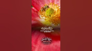 سورة الاعلى بصوت جميل #قران_كريم #السعودية #رمضان_كريم