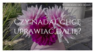 Czy Nadal Chcę Uprawiać Dalię?