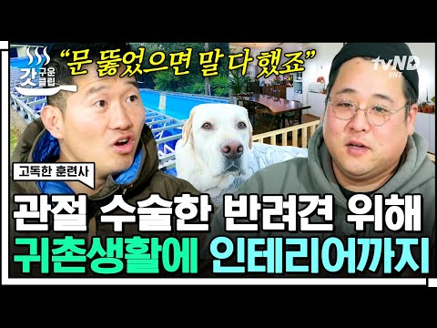 [#갓구운클립] 직업부터 생활까지 반려견을 위해 모든 걸 바꾼 보호자✨ 쥐 물고 온 반려묘에 방송사고ㅋㅋㅋ | #<strong>고독한훈련사</strong>