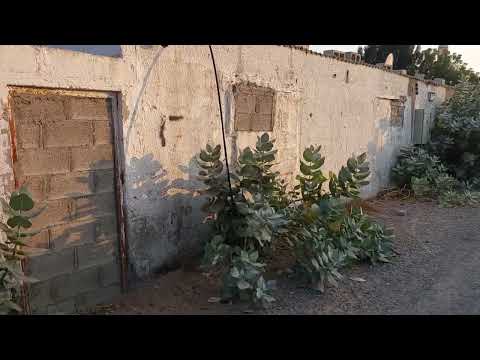 فريج الغبيبه البيوت القديمه