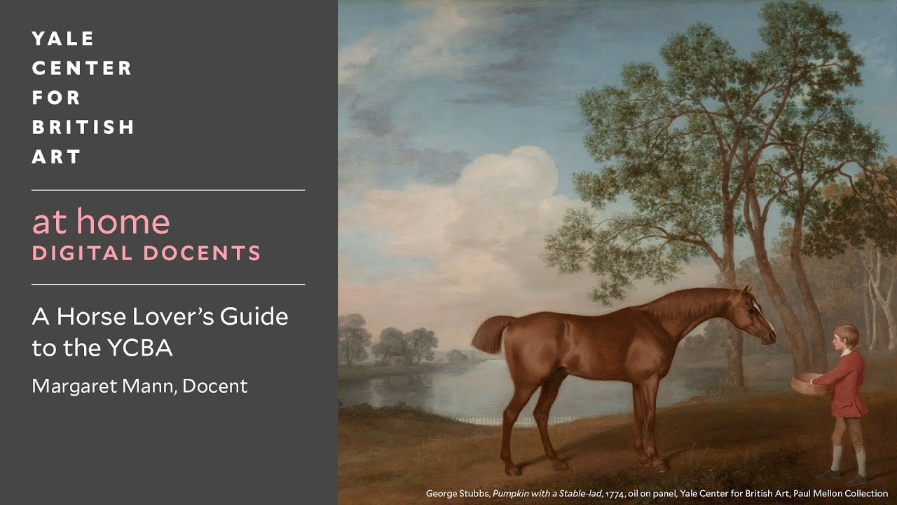 at home: Digital Docents | A Horse Lover's Guide to the YCBA