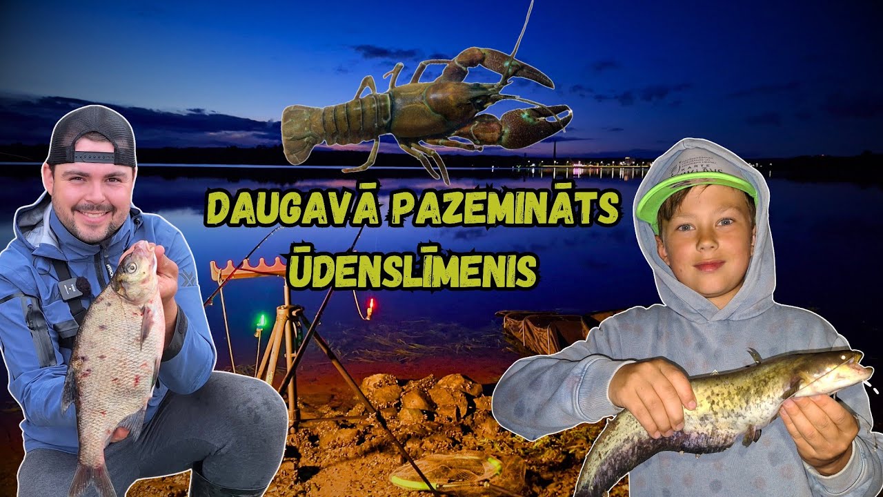 Brekšu un samu cope Daugavā! Rīgas HES ūdenskrātuve pie pazemināta ūdenslīmeņa! Ķeru vēžus un dēles!