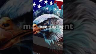 The American Eagle  Symbol of Freedom and Liberty
