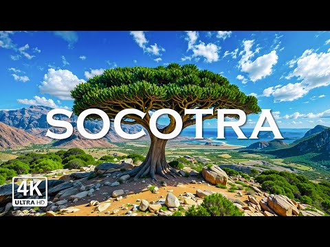 Socotra Island 4K