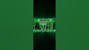 قاری سیدروح الله موسوی تلاوت سوره کوثر ۲۰۲۴  #الامارات #القرآن_الكريم #القرآن_الكريم #شحات_انور