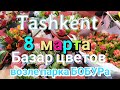 Ташкент  Цветочный базар возле парка Бобура  8 марта Tashkent 8 march