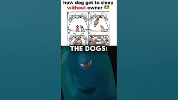 Dogs Are Too Smart For Us 