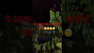 Video mein awaj ki dikkat hai! #shortvideo #funnyvideo #funnyshorts #keeda