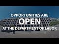 Opportunities are open at the department of labor