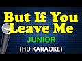 BUT IF YOU LEAVE ME Junior HD Karaoke mp3