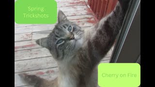 Spring Trickshots   Cherry on Fire