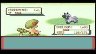 Emerald Catching Part 8: Quest for Surf Pichu Egg! (Catching 1499 Pokémon for Pokémon Box)
