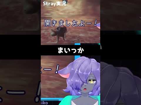 #stray 褒められたことにする猫 #shorts