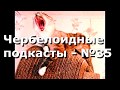 Чербелоидный подкаст #35 -