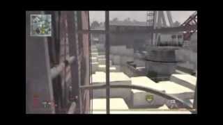 Worlds Best Koala Climb Ever