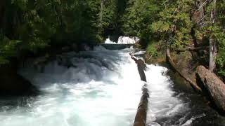 Relaxing 3 Hours of Mountain Stream | Relaxing sound for Sleep, Study or Meditation