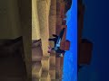 I found this while playing Minecraft