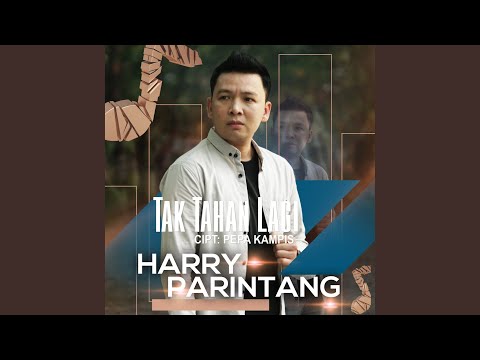 Tak Tahan Lagi - Harry Parintang
