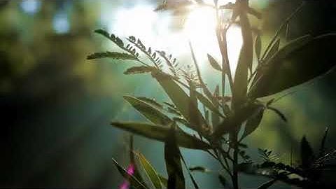 سورة الأنعام(1-12 )| تراويح رمضان 1439 هـ| بصوت الشيخ محمود العبد