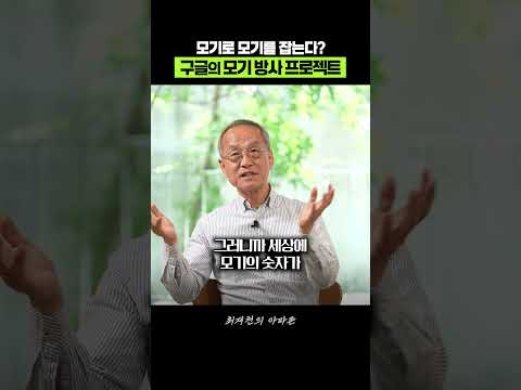 ↓ 풀영상 : 구글이 왜 모기를 방사했을까? thumbnail