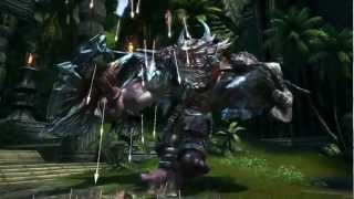 TERA Online  - Feral Valley - Action Combat Gameplay
