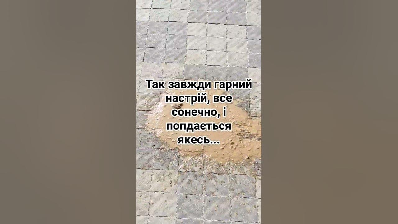 Жиза, коли все добре, зустрічається таке в житті... - YouTube