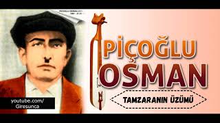 Picoğlu Osman - Tamzaranın Üzümü Resimi