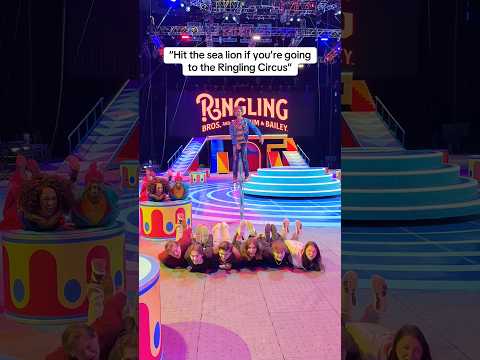 Everybody hit the sea lion! 🦭🕺🏻✨ @ringling bros has us living our best circus life!!! 🎪👏