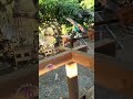 nailing technique 👍#carpenter #woodworking #wood #diy #shorts