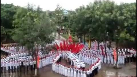 player vn swf application x shockwave flash Object