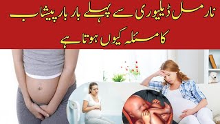 Frequent urination problem during pregnancy|Hamal k bar bar urine kyun ata hai