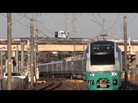 2013年3月11日の「フレッシュひたち48号」【緑同色の14両編成！】
