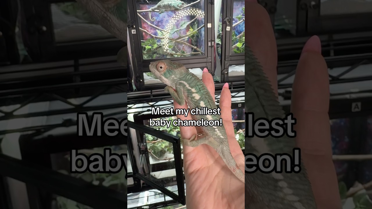 This baby is so chill!