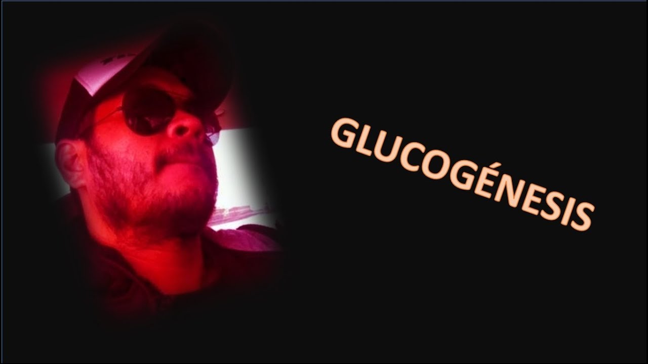 GLUCOGÉNESIS | Profe Murillo
