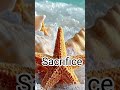 Elton John - Sacrifice #starfish #shorts