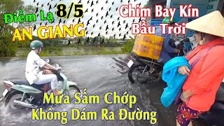 Điềm Lạ Chim Bay Kín Bầu Trời An Giang Bà Con Vừa Mừng Vừa Lo Gió Mạnh Sấm Chớp, Mưa Lớn Như Đổ Nước