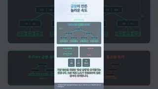 #ALGO 0079 - 수십억 데이터를 0.001초만에 찾는 비밀! B-Tree 완벽 해부