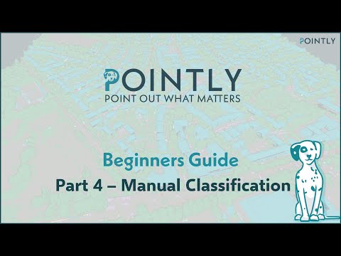 Pointly Beginners Guide - Part 4: Manual Classification