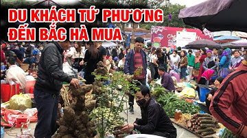 THÚ VỊ NHẤT CHỢ PHIÊN BẮC HÀ MÀ BẠN CHƯA BIẾT - CHỢ BÁN NHIỀU THẢO DƯỢC VÀ ĐẶC SẢN QUÝ TÂY BẮC