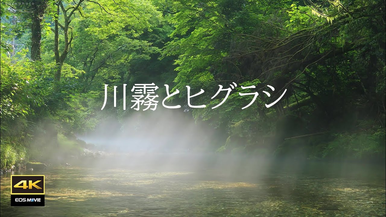 4K video ∔ Sounds of nature / Beautiful river mist and rays