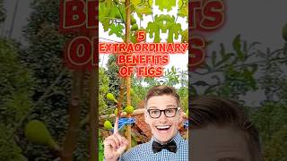 5 Extraordinary Benefits of Figs wellnessjourney shorts