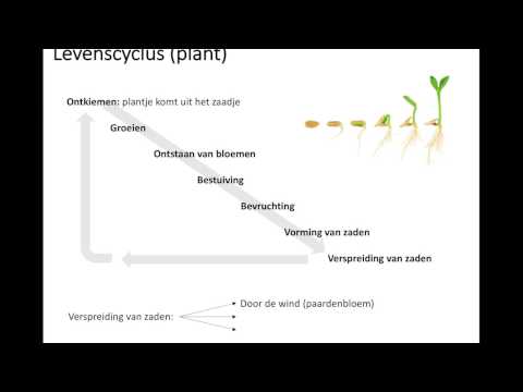 Video: Wat is de levenscyclus van productontwikkeling?