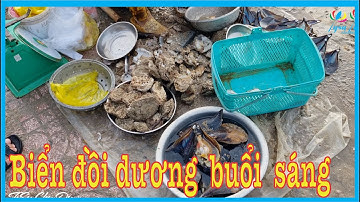 Biển Đồi Dương Phan Thiết Bình Thuận | Bãi tắm đẹp hấp dẫn du khách khám phá