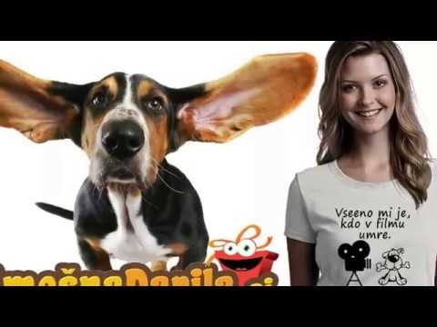 Video: Izbira pravilnega polnila za pse