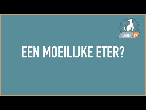 Video: Wat u moet weten over Canine Disk Disease