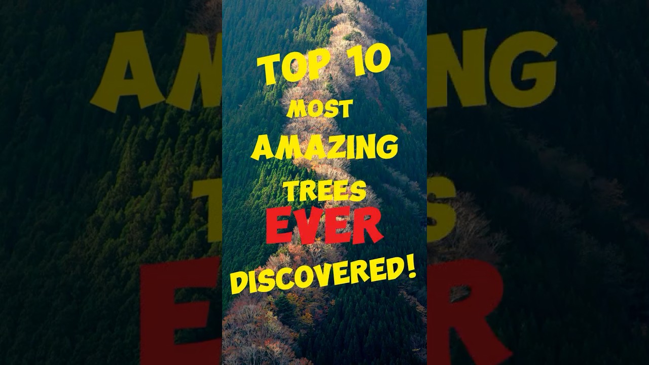 Top 10 Spectacular Trees in the World | Nature’s Masterpieces 🌿 