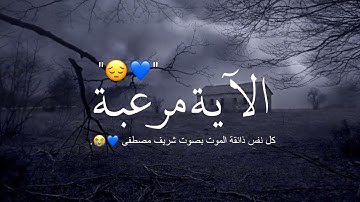 أجمل حالات واتس اب قرآن كريم بصوت جميل جدا | صوته فيه كمية راحه Quran status 🌧💙.