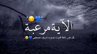 أجمل حالات واتس اب قرآن كريم بصوت جميل جدا | صوته فيه كمية راحه Quran status 🌧💙.